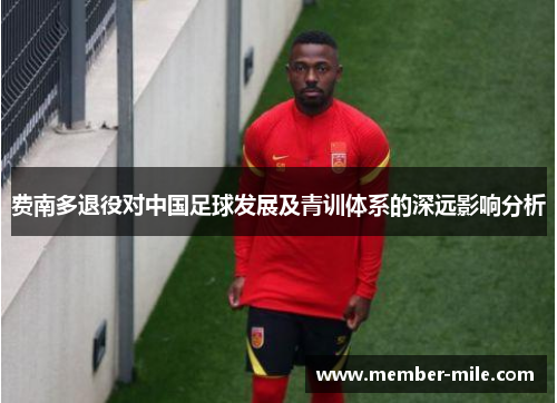 费南多退役对中国足球发展及青训体系的深远影响分析 费南多退役对中国足球发展及青训体系的深远影响分析