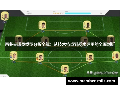 西多夫球员类型分析全解:从技术特点到战术运用的全面剖析 西多夫球员类型分析全解:从技术特点到战术运用的全面剖析