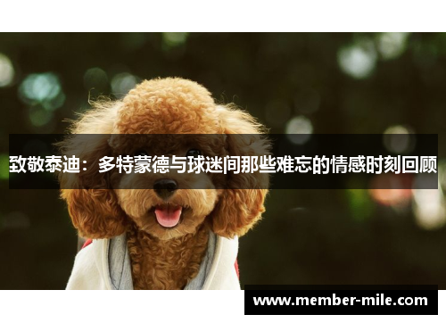 致敬泰迪:多特蒙德与球迷间那些难忘的情感时刻回顾 致敬泰迪:多特蒙德与球迷间那些难忘的情感时刻回顾