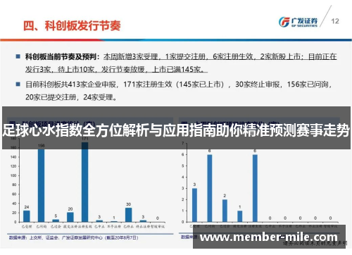 足球心水指数全方位解析与应用指南助你精准预测赛事走势